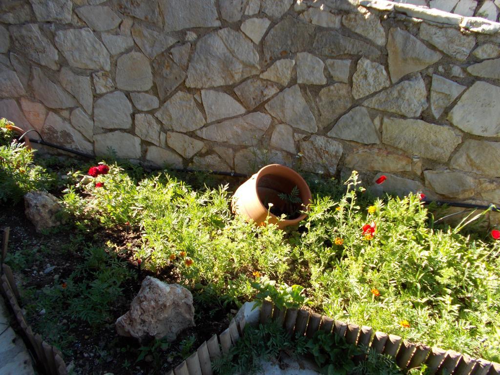 Theasis Suites-Ορεινή Φιλοξενία Kato Sinikia Trikalon Exterior foto