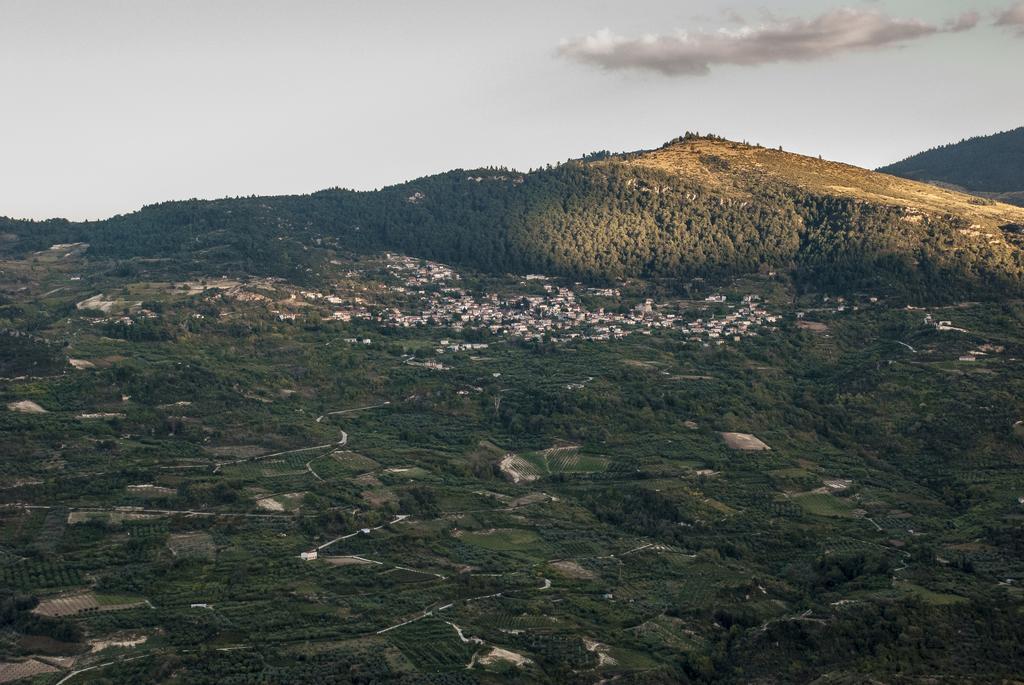 Theasis Suites-Ορεινή Φιλοξενία Kato Sinikia Trikalon Exterior foto
